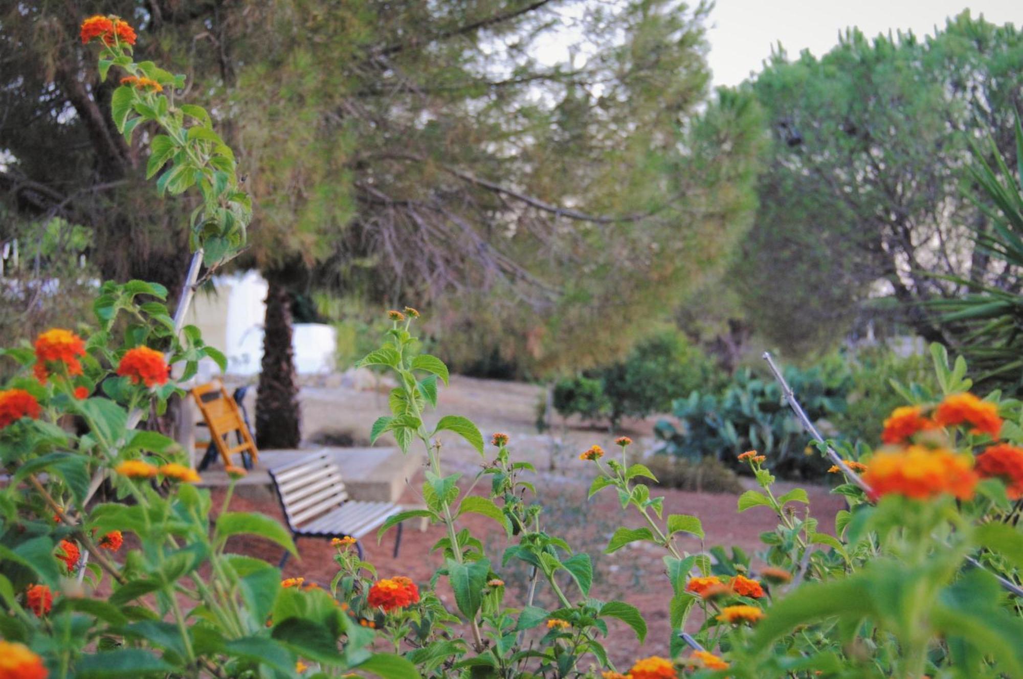 Villa Carola Gallipoli Εξωτερικό φωτογραφία